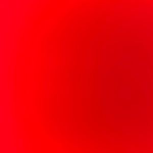 Meet your Posher, Evan